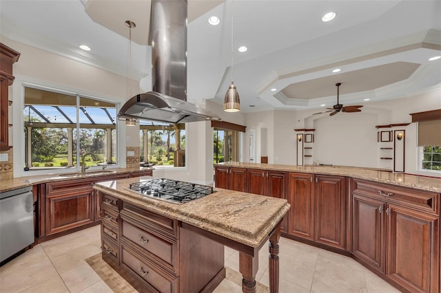 kitchen with appliances with stainless steel finishes, island range hood, a raised ceiling, sink, and hanging light fixtures