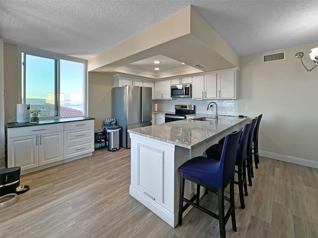 kitchen featuring appliances with stainless steel finishes, a peninsula, a tray ceiling, white cabinetry, and a sink