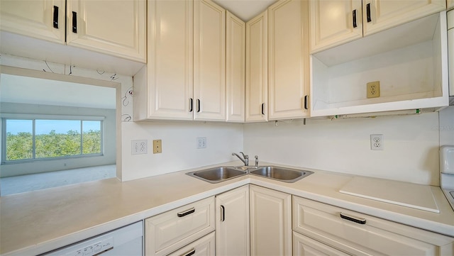 kitchen with dishwasher and sink