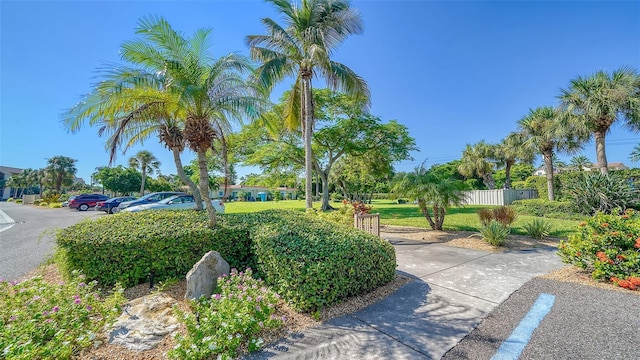 view of property's community with a yard