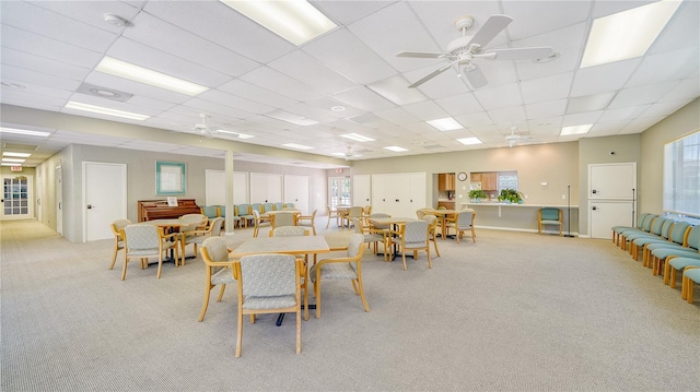 carpeted dining area featuring a drop ceiling, ceiling fan, and plenty of natural light