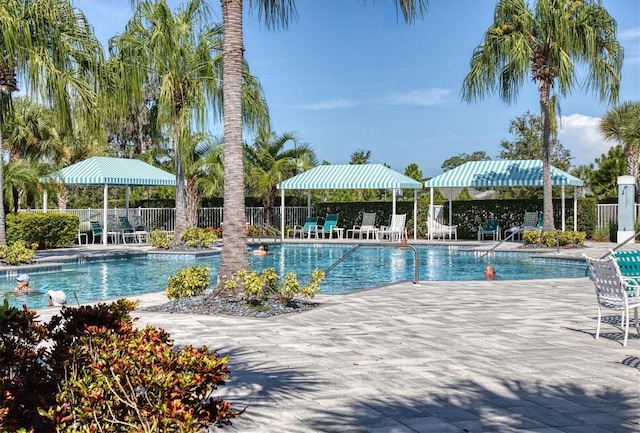 view of pool featuring a patio