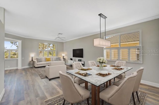 dining room with ceiling fan, ornamental molding, and hardwood / wood-style flooring