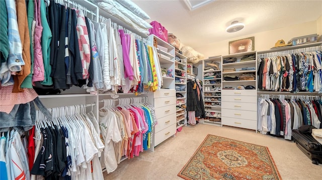 spacious closet featuring light carpet