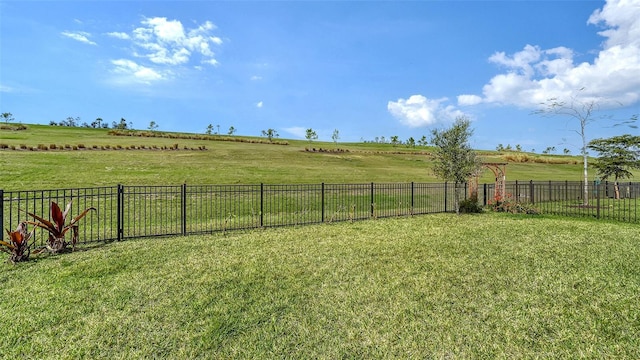 view of yard with a rural view