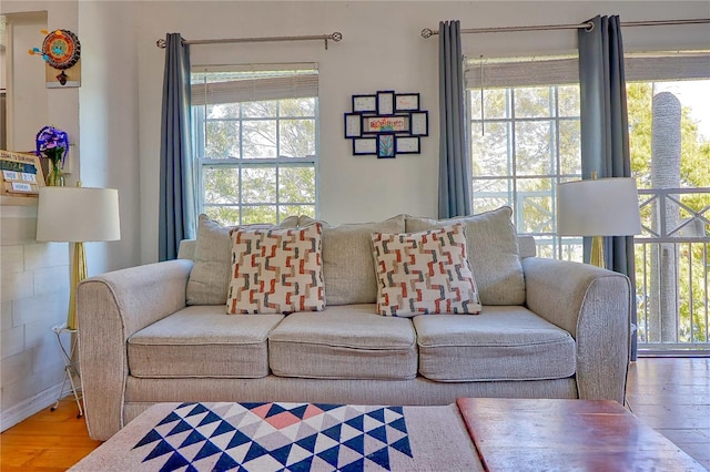 living room featuring hardwood / wood-style floors