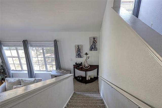 staircase featuring carpet flooring