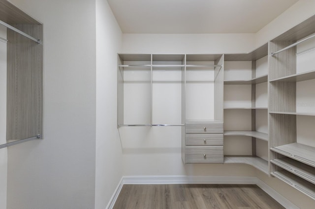 walk in closet featuring light wood-style flooring