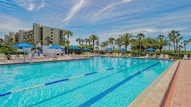 view of swimming pool with a patio area