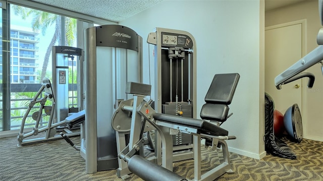 exercise room featuring carpet flooring and a textured ceiling