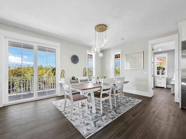 dining room featuring plenty of natural light and dark wood-type flooring