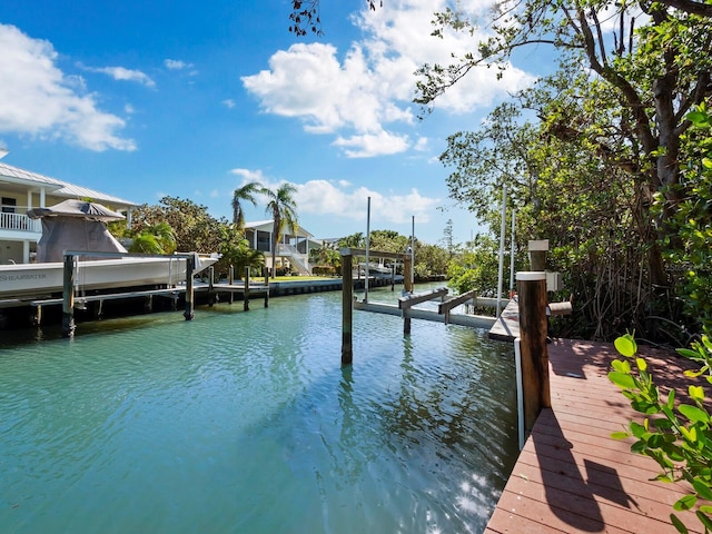 dock area with a water view