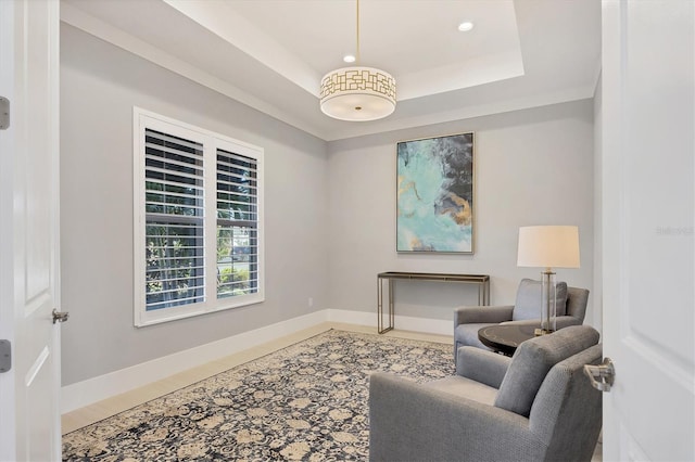 living area with a raised ceiling