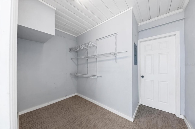 spacious closet with dark colored carpet and electric panel