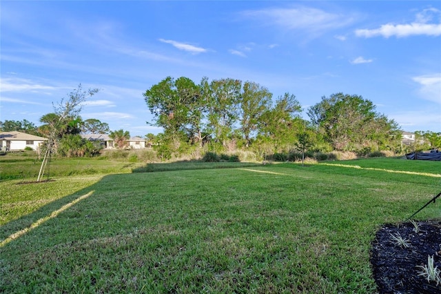 view of yard