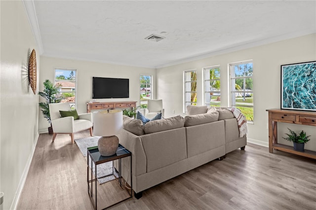 living room featuring crown molding, a healthy amount of sunlight, and wood-type flooring