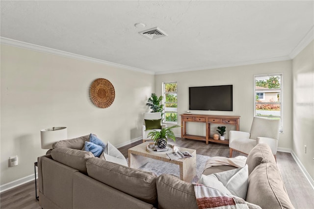 living room featuring dark hardwood / wood-style flooring and ornamental molding