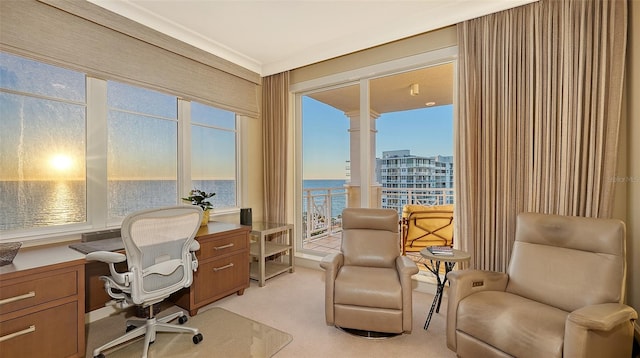 carpeted home office with a healthy amount of sunlight, a water view, and crown molding