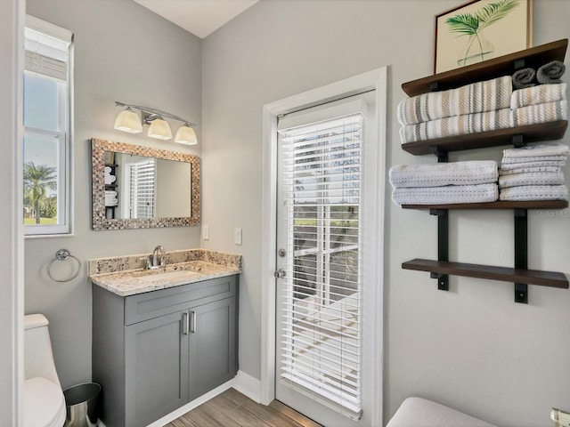 bathroom featuring hardwood / wood-style flooring, vanity, and toilet