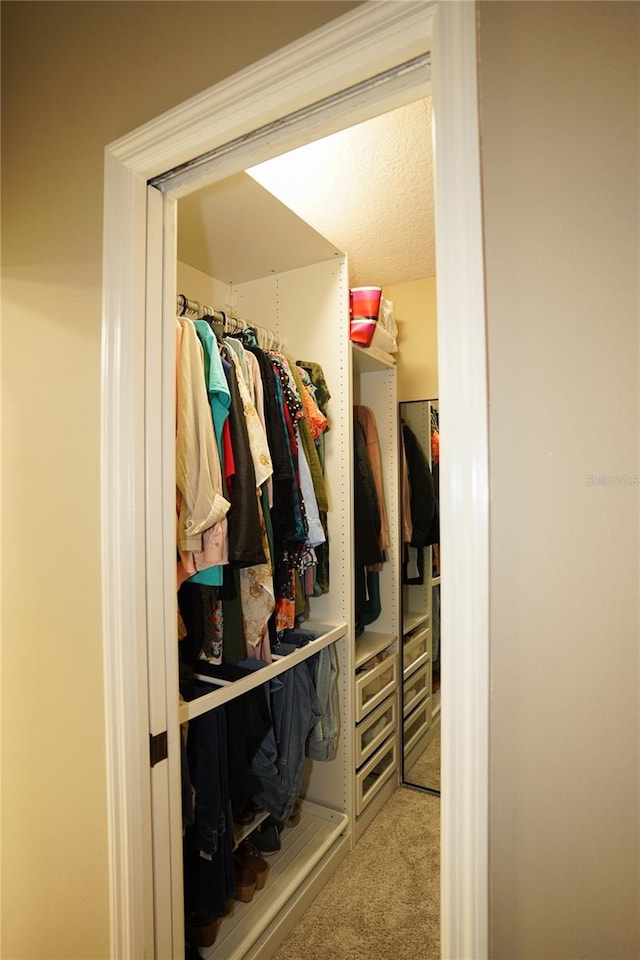 mudroom featuring carpet flooring and a textured ceiling