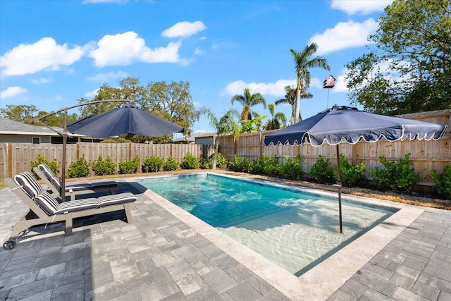 view of pool with a patio area