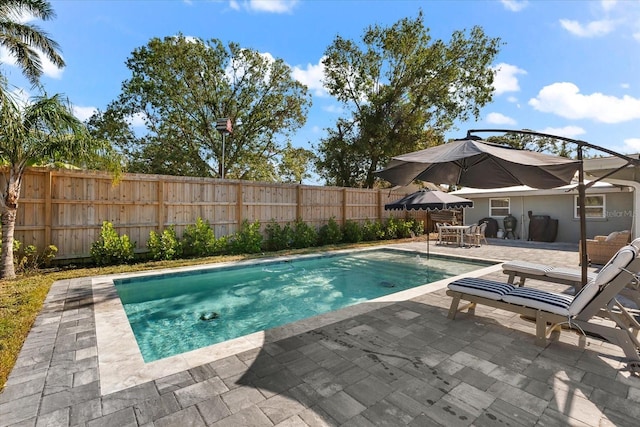 view of pool featuring a patio