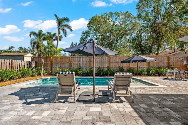 view of swimming pool featuring a patio area