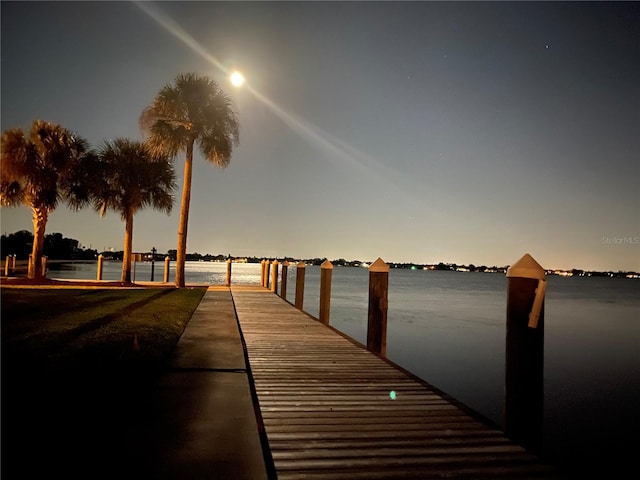 dock area with a water view