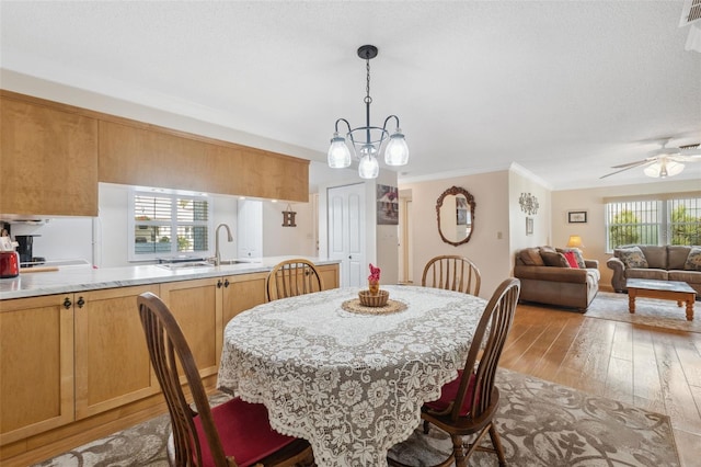 dining space featuring ceiling fan with notable chandelier, light hardwood / wood-style floors, ornamental molding, and sink