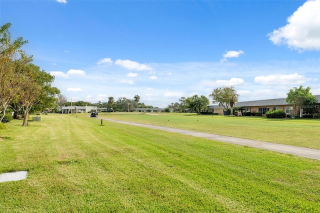 view of community featuring a yard