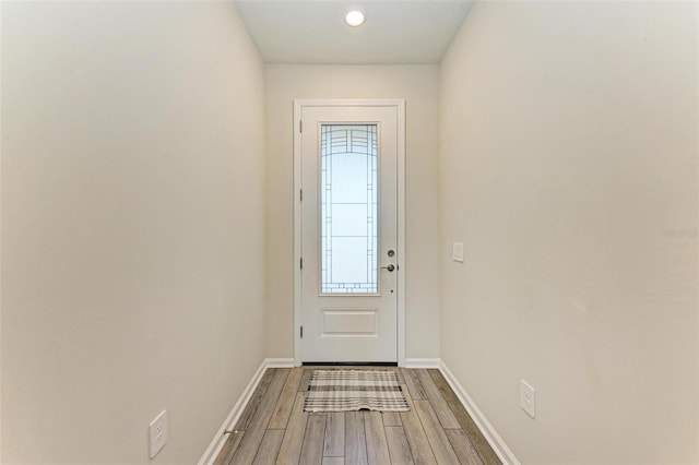 entryway featuring wood-type flooring