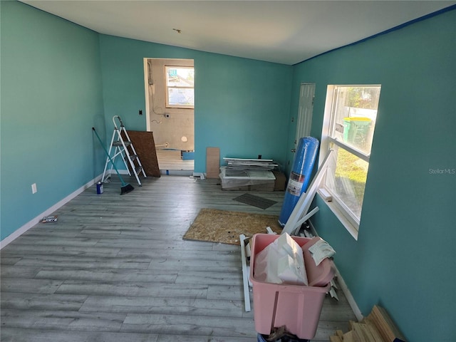 miscellaneous room featuring vaulted ceiling and light hardwood / wood-style flooring