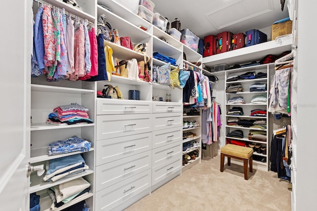 walk in closet featuring light colored carpet