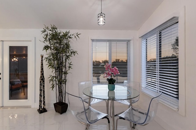 dining room featuring a healthy amount of sunlight