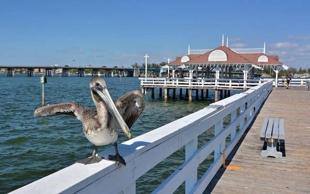 dock area featuring a water view