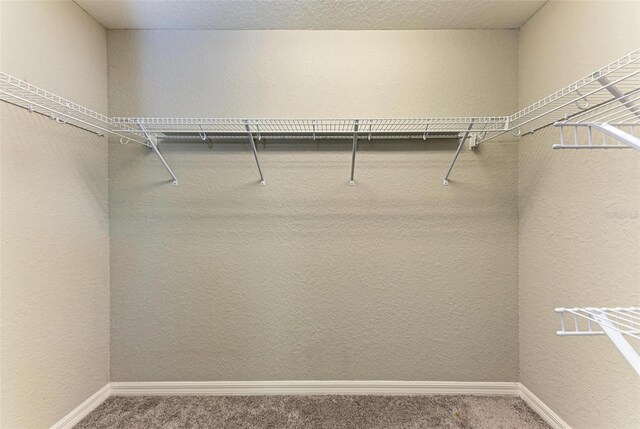 3030 58th Way E, Palmetto, FL 34221 - walk in closet with carpet flooring
