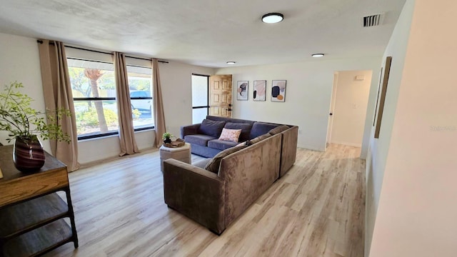 living room with light wood-type flooring