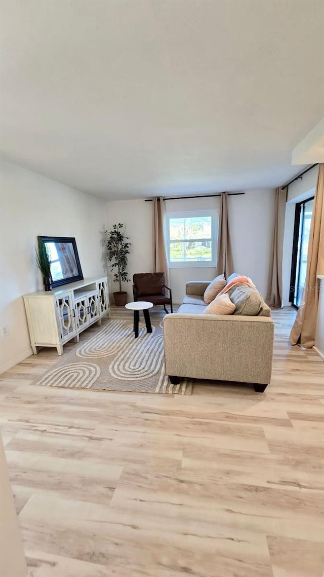 living room featuring light hardwood / wood-style flooring