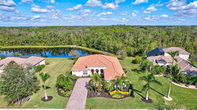 17113 1st Dr E, Bradenton, FL 34212 - view from above of property featuring a forest and a nearby body of water