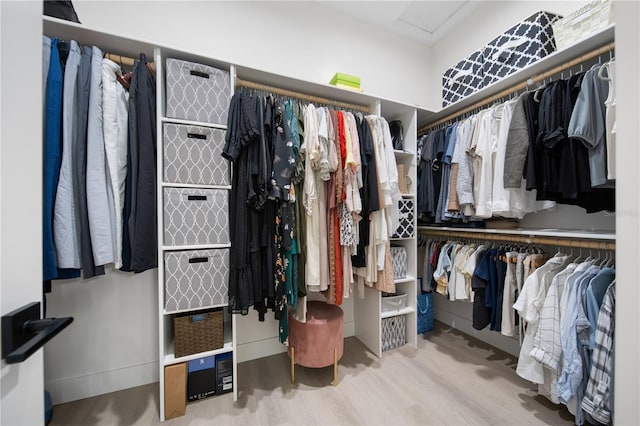 walk in closet with wood-type flooring