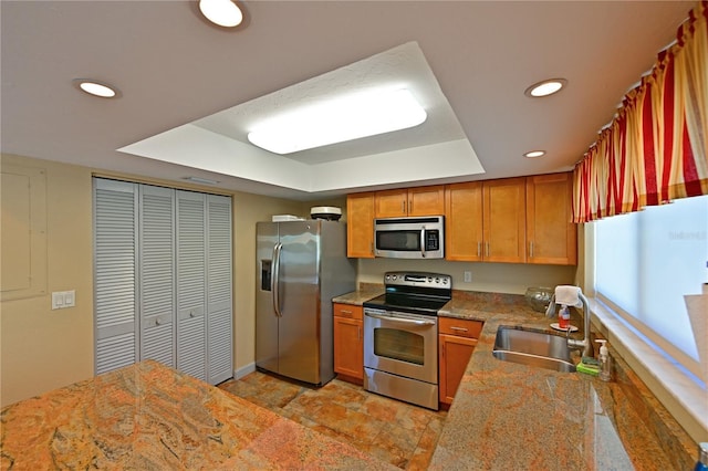 kitchen featuring a tray ceiling, stone counters, sink, and stainless steel appliances