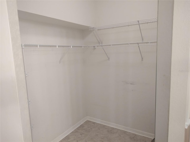 view of walk in closet