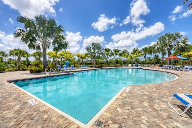 view of swimming pool featuring a patio area