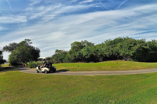 view of community featuring a lawn