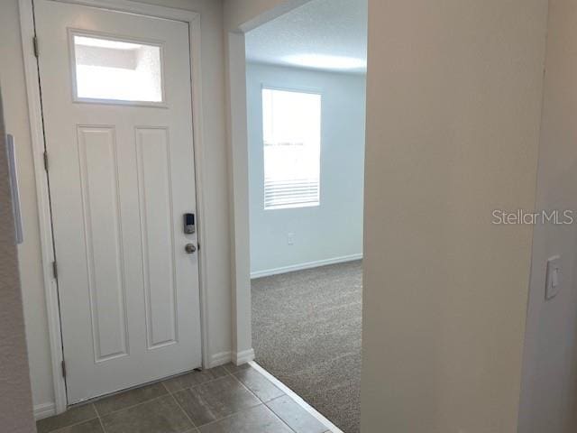 entrance foyer with carpet flooring