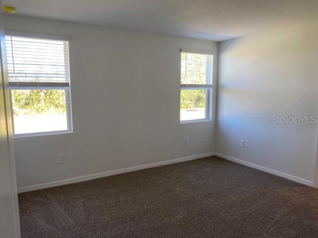 carpeted empty room featuring a healthy amount of sunlight