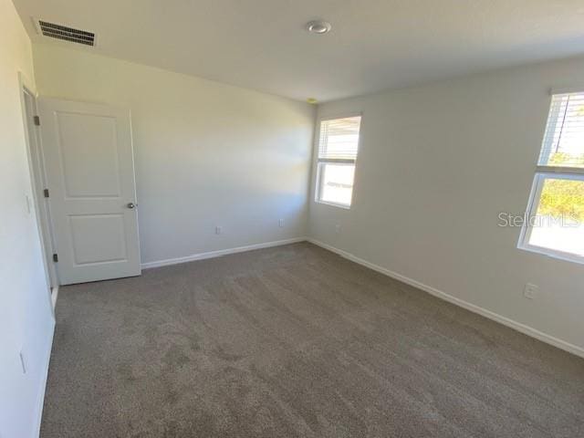 carpeted empty room featuring a healthy amount of sunlight