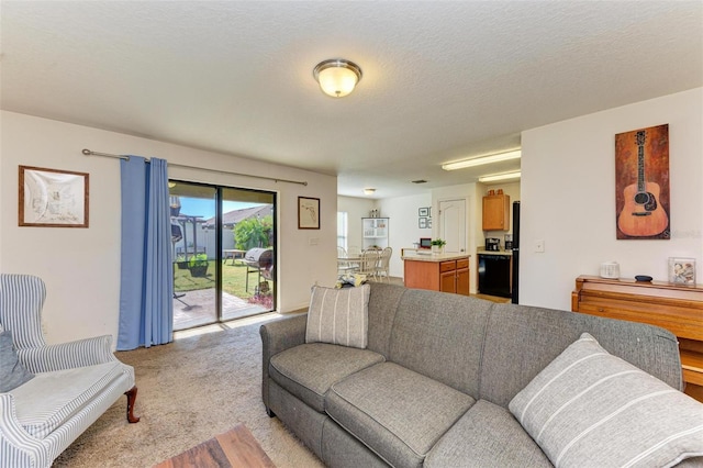 living room with a textured ceiling and light carpet