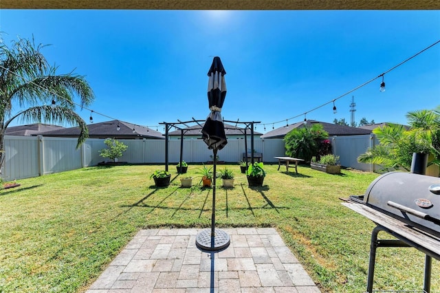 view of yard featuring a patio