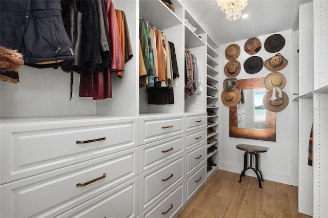 spacious closet featuring light hardwood / wood-style floors